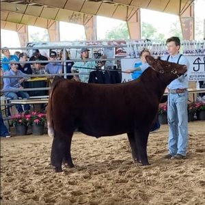 Meet your Posher, Matthew